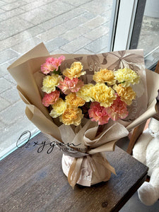 M07. Minami Carnations Mix