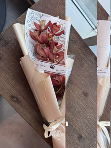M20. Cymbidium Faberi